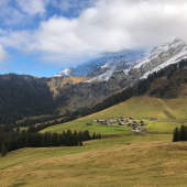 IMG_7069