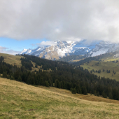 IMG_7075