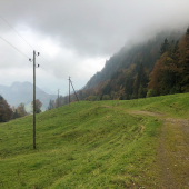 IMG_7091