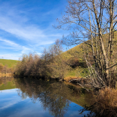 IMG_7337