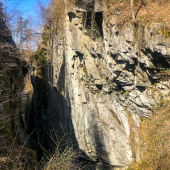 IMG_7663