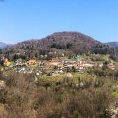 IMG_7684