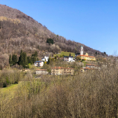 IMG_7719