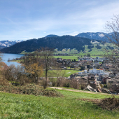 IMG_7765