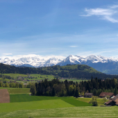 IMG_7847