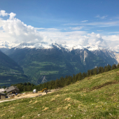 IMG_8014