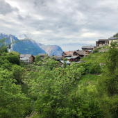 IMG_8022