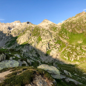 IMG_8294