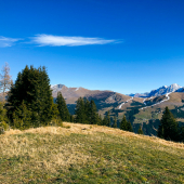 IMG_8962