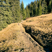 IMG_8972