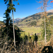 IMG_8973