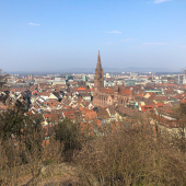 IMG_9410