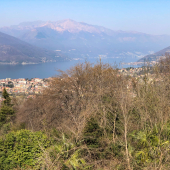 IMG_9430