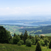 IMG_9954