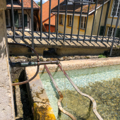 IMG_9973