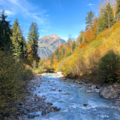 IMG_0915