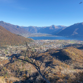 IMG_1028