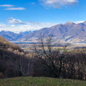 IMG_1275