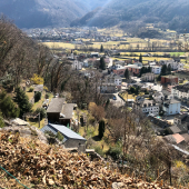 IMG_1320