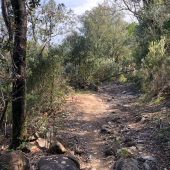 IMG_1390