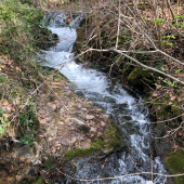 IMG_1486