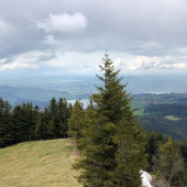 IMG_1601