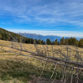 IMG_2458