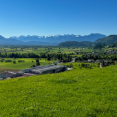 IMG_2975_jpg