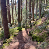 IMG_4393_jpg