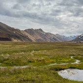 IMG_4792_jpg