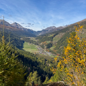 IMG_6990