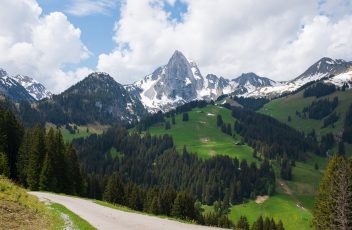 DSCF1987