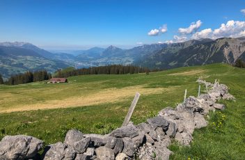 IMG_4904