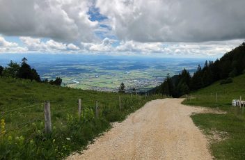 IMG_5600