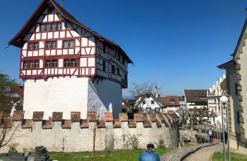 IMG_7811