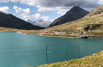 IMG_8461